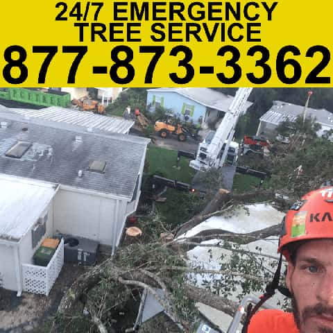 24/7 Emergency Tree Service: Call 1-877-873-3362.