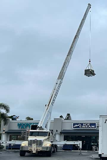 Removing a tree with a crane in Punta Gorda, FL.